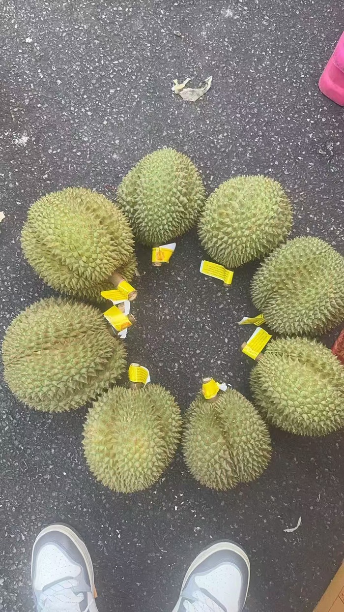泰国榴莲进口黄埔港清关案例